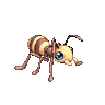 Ant image