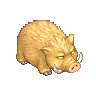Pig image