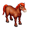 Fire Brown Horse image