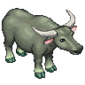 Graceful Buffalo image