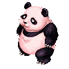 Panda image