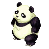 Panda image