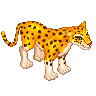 Golden Leopard image
