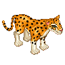 Leopard image