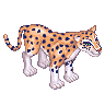 White Leopard image