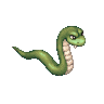 Snake image