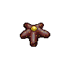 Flattened Starfish image
