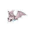 Gray Bat image