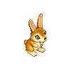 Rabbit image