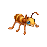 Little Ant image