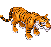 Tiger image