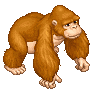 Orangutang image