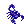 Scorpion image