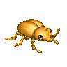 Little Steel Beetle image