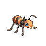 Rock Skin Ant image