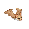Little Bat image
